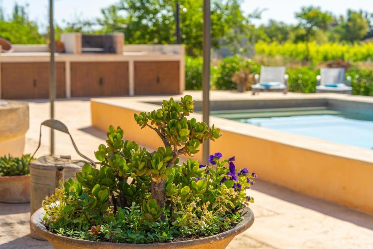 Finca Campestre Es Verger Blue Binissalem Buitenkant foto